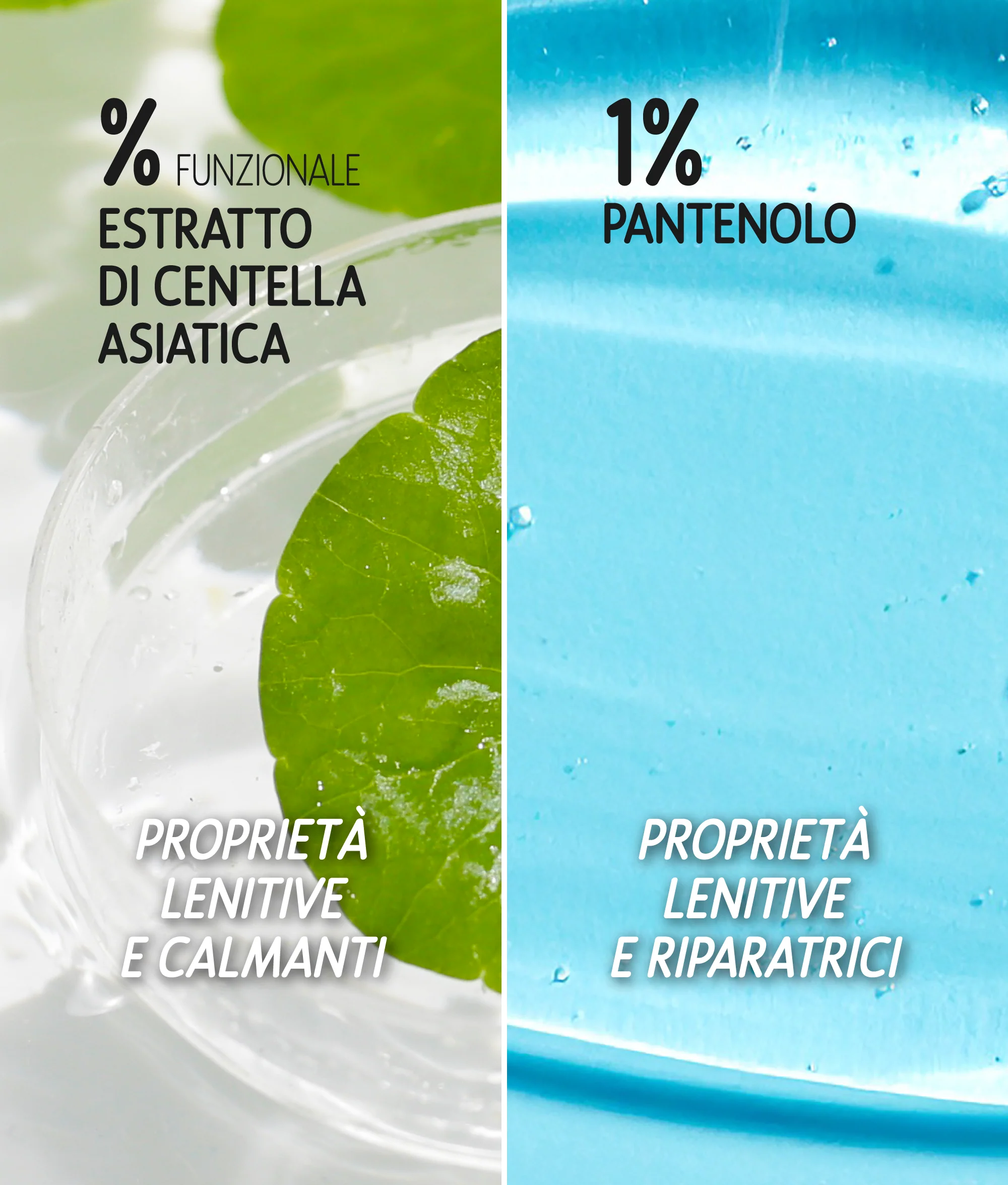 Siero viso +SKIN Calm - Image 6